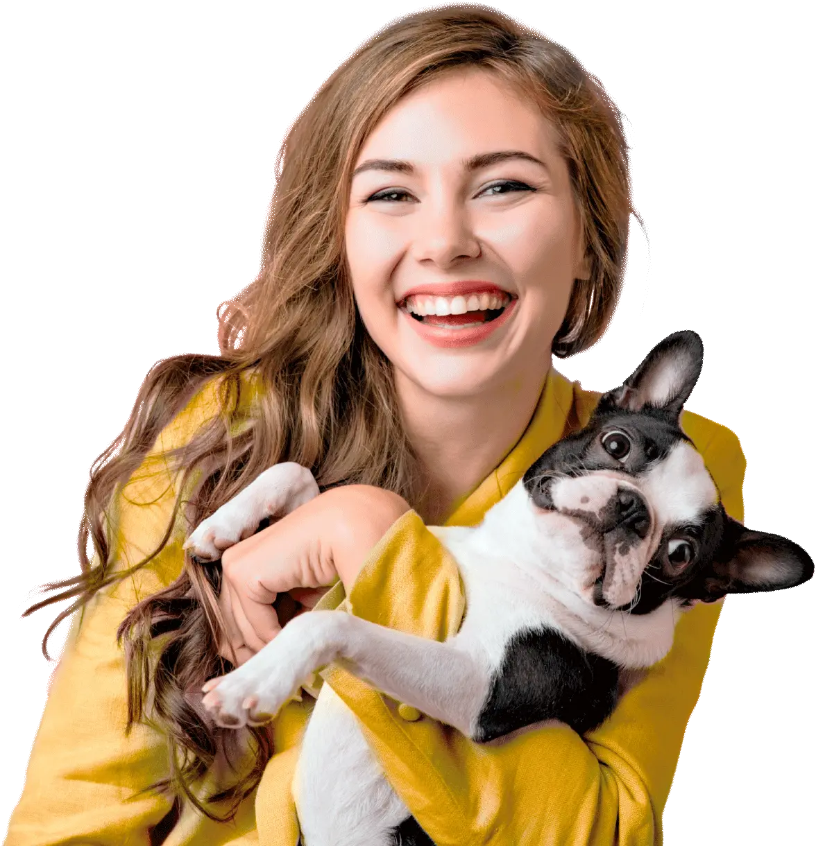 Alegria PET Consultório Veterinário