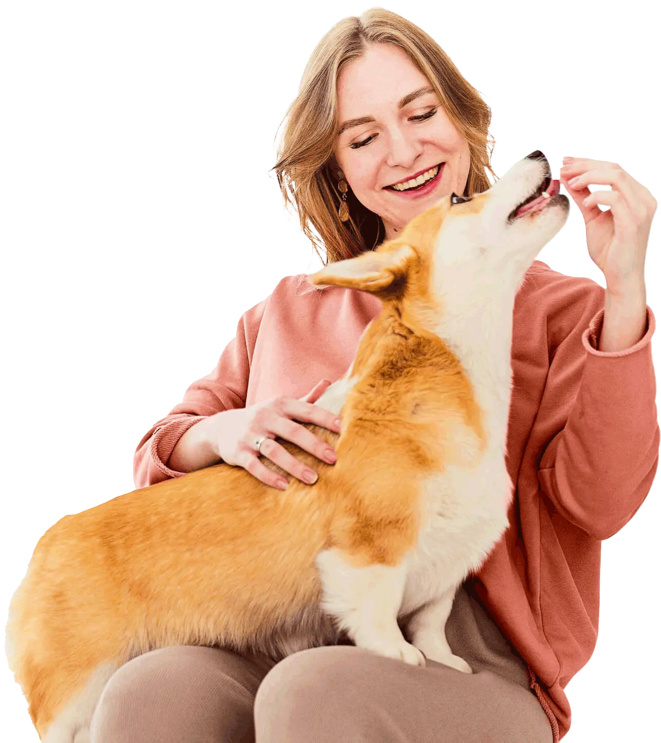 Alegria PET Consultório Veterinário